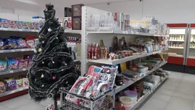 Търговска Къща "Деевски"