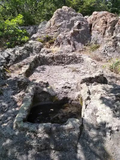 Шарапани