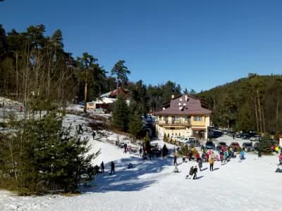 Даф Транс Хотел
