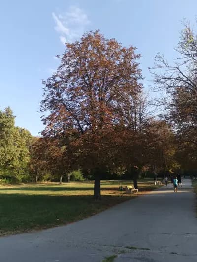 Парк Кайлъка