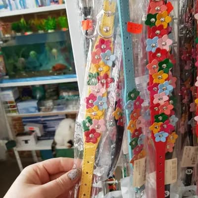 Зоомагазин Лъвчи