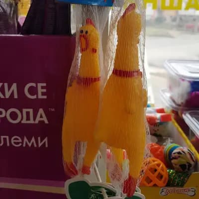 Зоомагазин Лъвчи