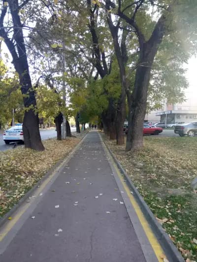 Спортна база „Берое“