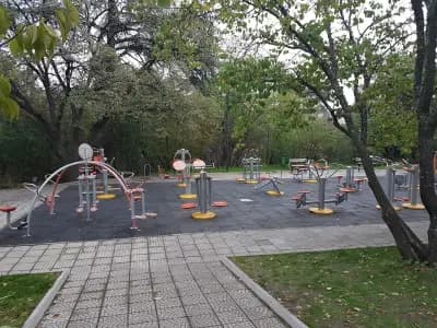 Стрийт фитнес