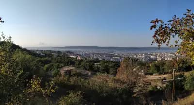 Караач Теке