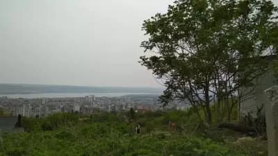Караач Теке