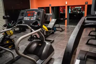 Fitness House Of Steel