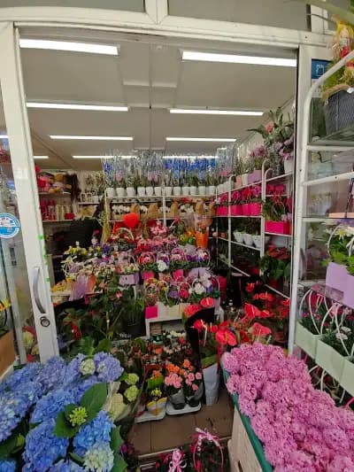 Цветният пазар