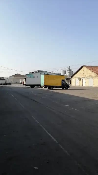 Зеленчукова борса