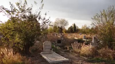 Гробищен парк Тополи
