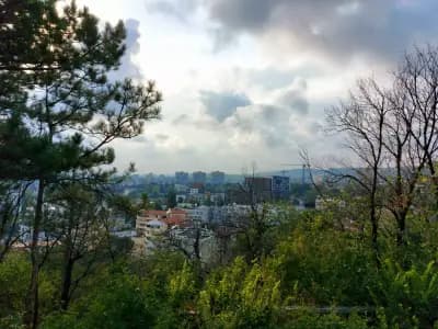 Парк паметник