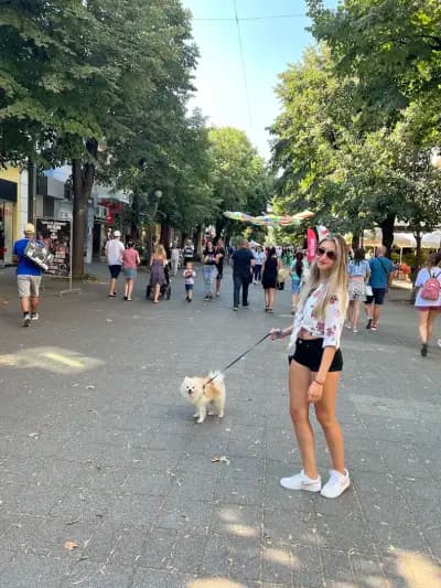 Компаса