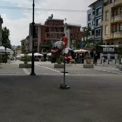 Бар „Гъбката“