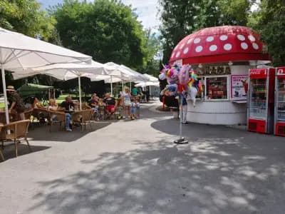 Бар „Гъбката“