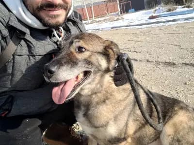 Animal Rescue Sofia