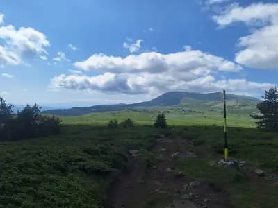 Връх „Камен дел“