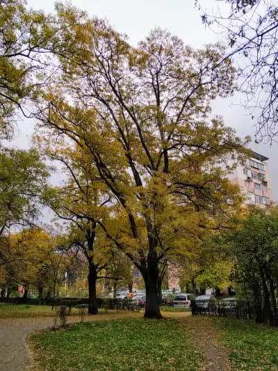 Парк Света Троица