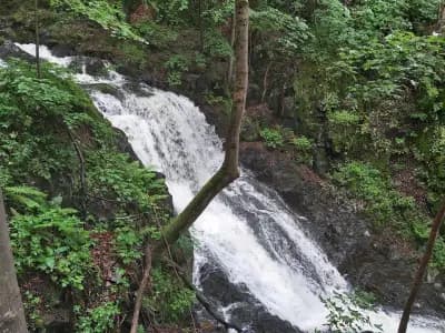 Боянски водопад