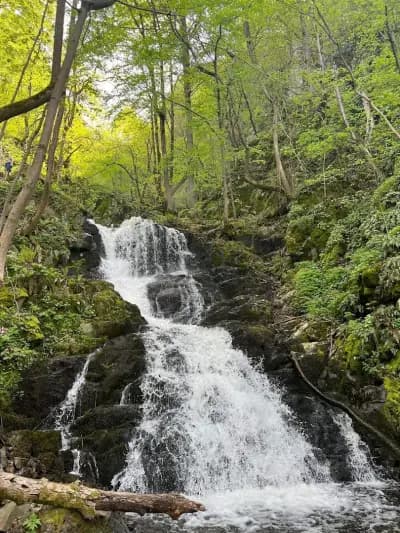 Боянски водопад