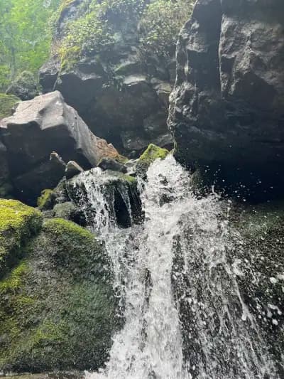 Боянски водопад