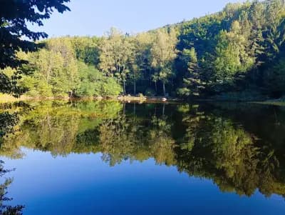 Боянски водопад