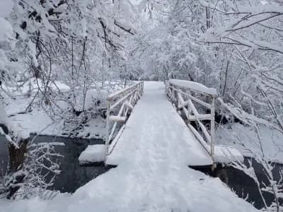North Park
