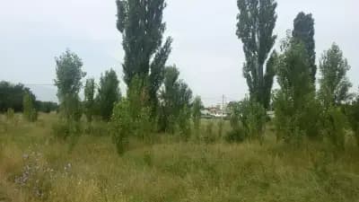 Стадион „Георги Бенковски“