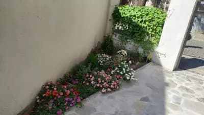 DaRoom in the heart of Plovdiv