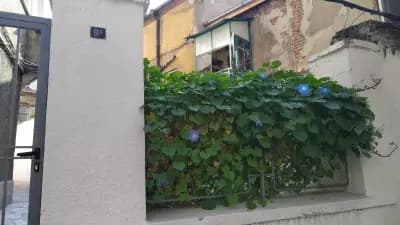 DaRoom in the heart of Plovdiv