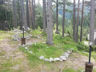 Alen Mak
