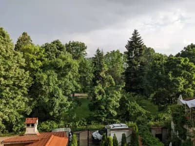 Хотел Цветелина Палас