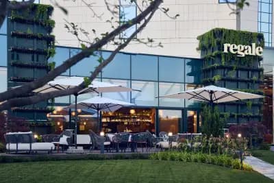 Regale Bar & Terrace