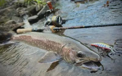 Риболовен магазин Fishingland