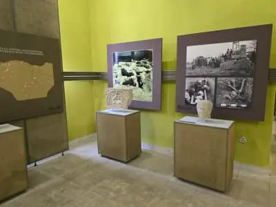 Археологически музей Силистра