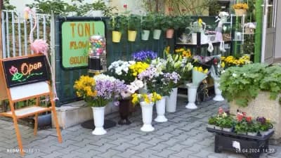 Тони Флауърс