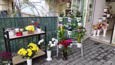 Тони Флауърс
