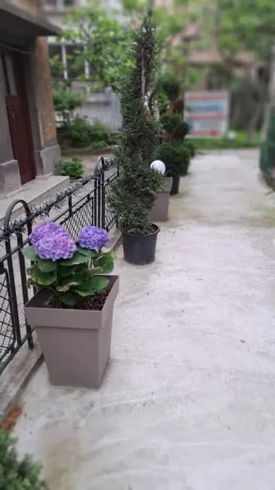 Езиков център "Съни скуул" Бургас, SunnySchool language center