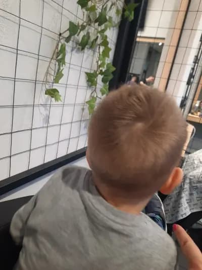La Barberria Barbershop