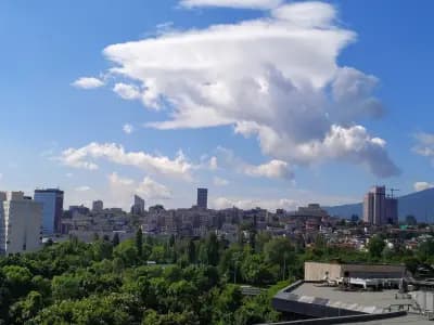 Бийтруут България
