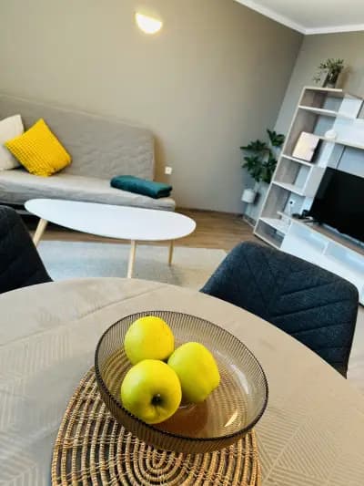 PANORAMA APARTMENT