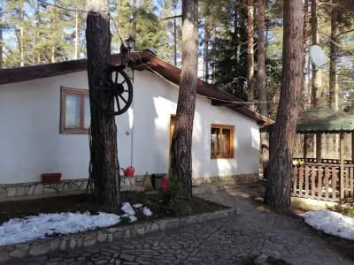 Вили Грийн