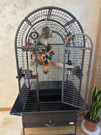 Папагалски Рай - Parrot Paradise