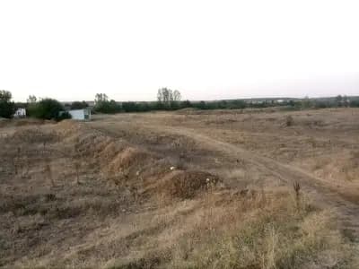 мандра "Люта"