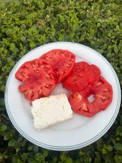 Ресторант Феникс