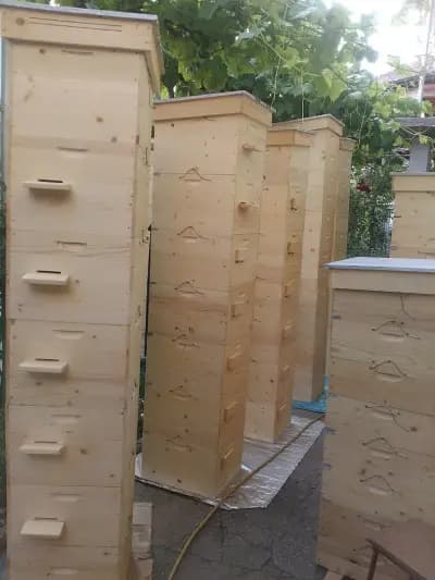 Биологична пчелна ферма Попови