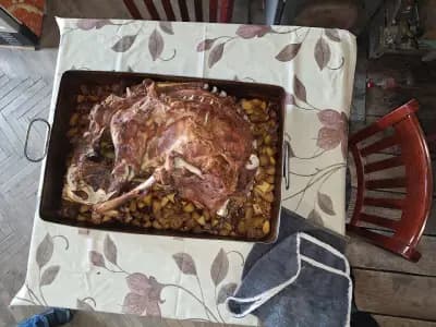 Скара Бира при Любо