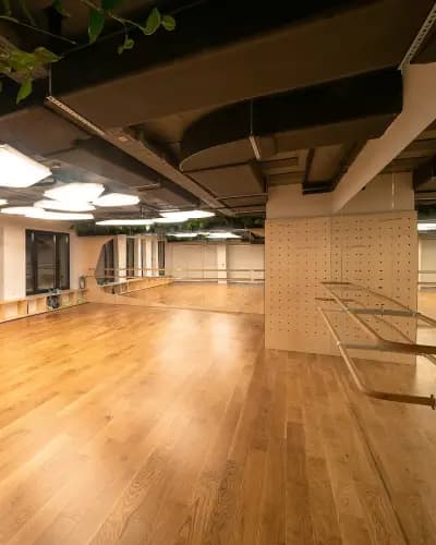 BalanSense Studio