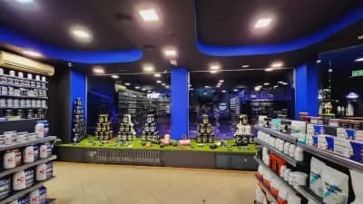 FITNESS1.BG