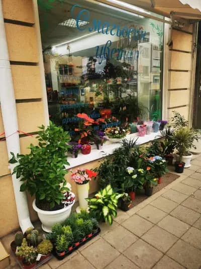 Омагьосан цветар