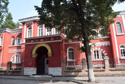 Видинска света митрополия